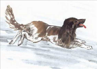 2、男狗女牛婚姻相配好吗男狗女牛婚姻怎么样