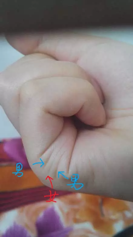 4、测子女缘什么时候到来