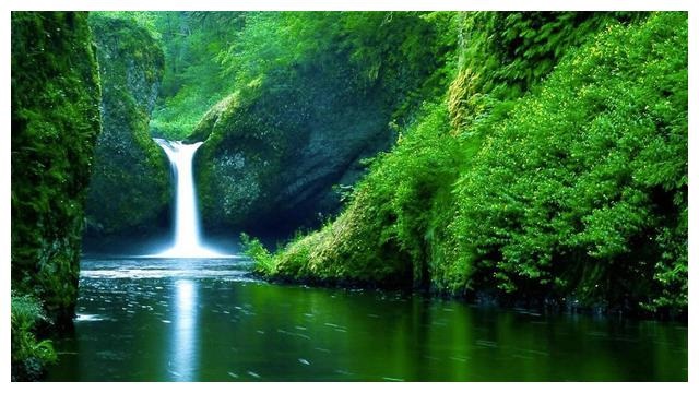 2、是癸水命,又是命,指纹又是十个斗。