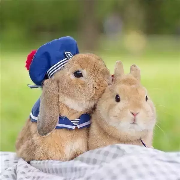 3、男朋友说我在他心里是像小兔子般的小可爱一样十分可爱想搂在怀里亲亲，是什么意思啊