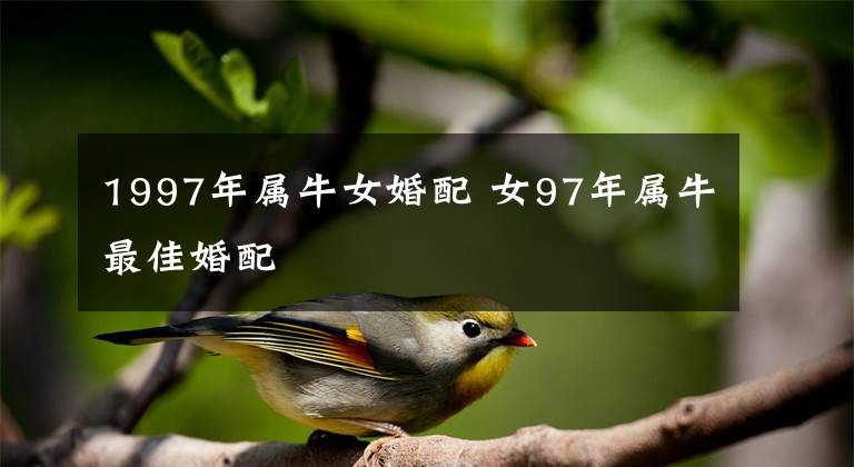 2、属牛的女人和什么属相最配