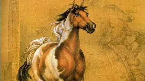 3、属马的年多大属马的人年虚岁多少岁