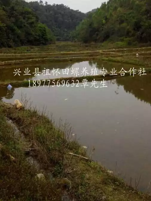 3、有养猪需要场地的吗？我在河北，可以合作