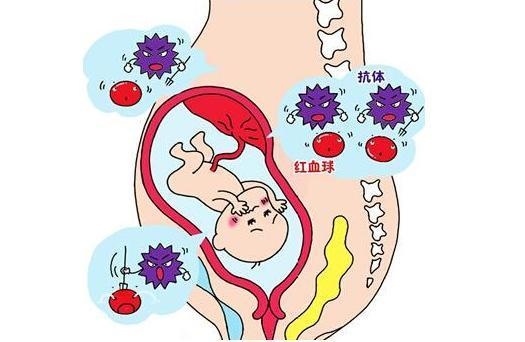 2、14周产检验血报告出来了，所有都正常，就这个显示阳性，我是O型血，老公是AB型，医生说怕ABO溶血