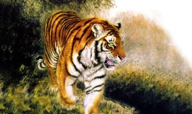 2、羊的桃花劫是虎是什么意思