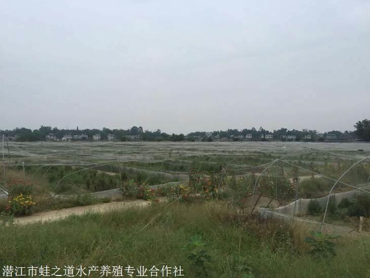 2、本人有场地，想搞养殖，想找有技术的合做养殖。