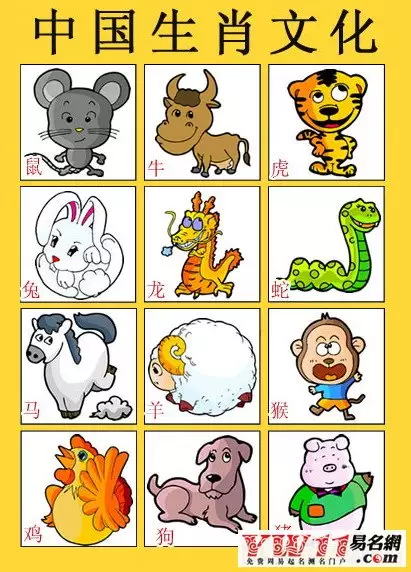 3、12生肖排行榜12生肖排行表