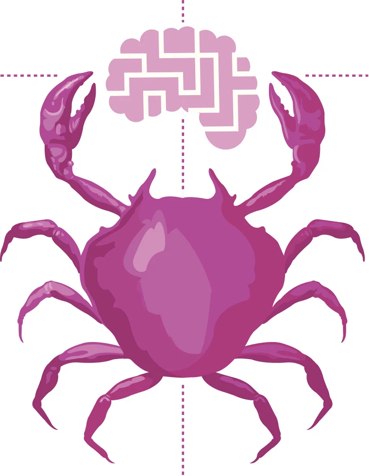 射手座运势今日运势查询 射手座和什么星座最配