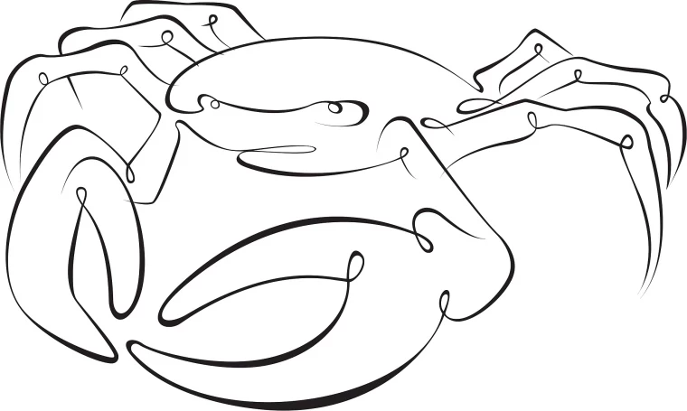 哪个星座的女生最聪明排名 哪个星座女最聪明伶俐