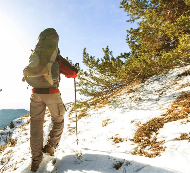 2月份出生的是什么星座