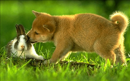 1667965320605474.png image.png