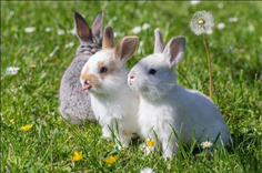 1667965338416126.png image.png