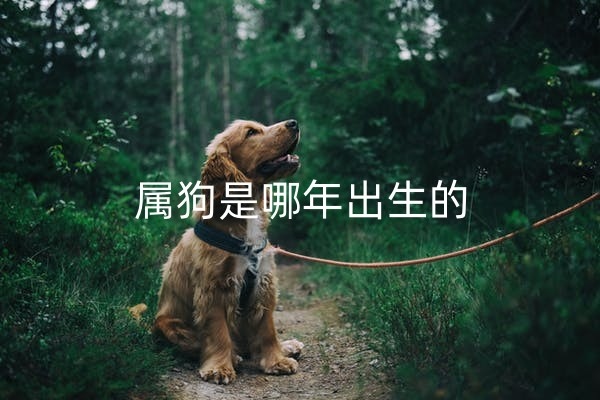 1668044693364927.jpg 狗1_副本.jpg