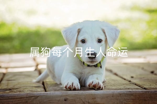 1668044704547325.jpg 狗6_副本.jpg