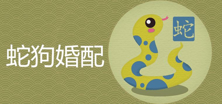 男蛇女狗在一起好不好