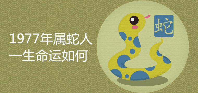 1977年属蛇的是什么命