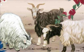 1668752700503404.png image.png