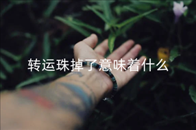 微信图片_20221010165543_副本.png