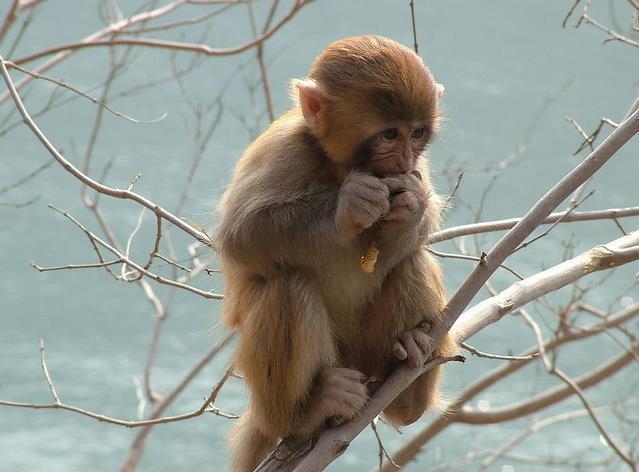 1669013491697086.jpg cdad5fd32d59895e-d9697b82d7116018-21d5ff62c9de0b97d65b32271bf77eb7.jpg