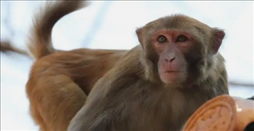 1668860265459211.png image.png