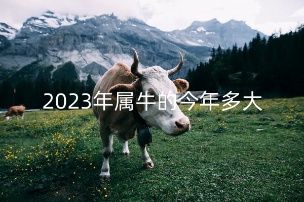 1669346832448721.jpg 牛2_副本.jpg