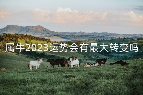 1669346837269914.jpg 牛4_副本.jpg