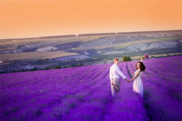 马蜂窝在卧室窗户的寓意 财运旺盛身体健康