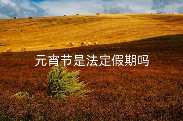 1669792329156111.jpg pexels-photo-10081508_副本.jpg