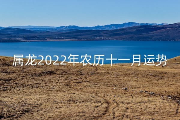 1669946231642766.jpg pexels-photo-13407706_副本.jpg