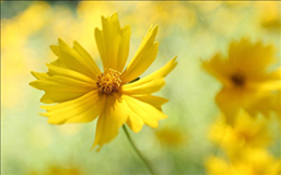 1669953105438301.png image.png