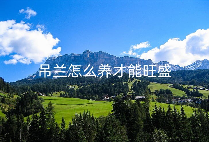 mountain-landscape-mountains-alpine-preview_副本.jpg