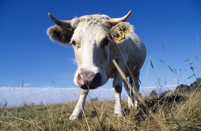 1670321721429394.jpg abe1eea3ca79fc28-c577ebdcb0f3dbcc-3a92ebfb9e11b7af14f7e3851cb05c27.jpg