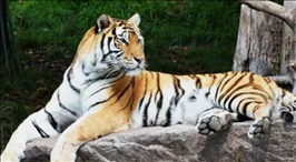 1669453496785841.png image.png