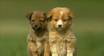 1671030183899324.png image.png