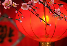 1672975111511576.png image.png