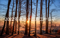 1673230507336232.png image.png