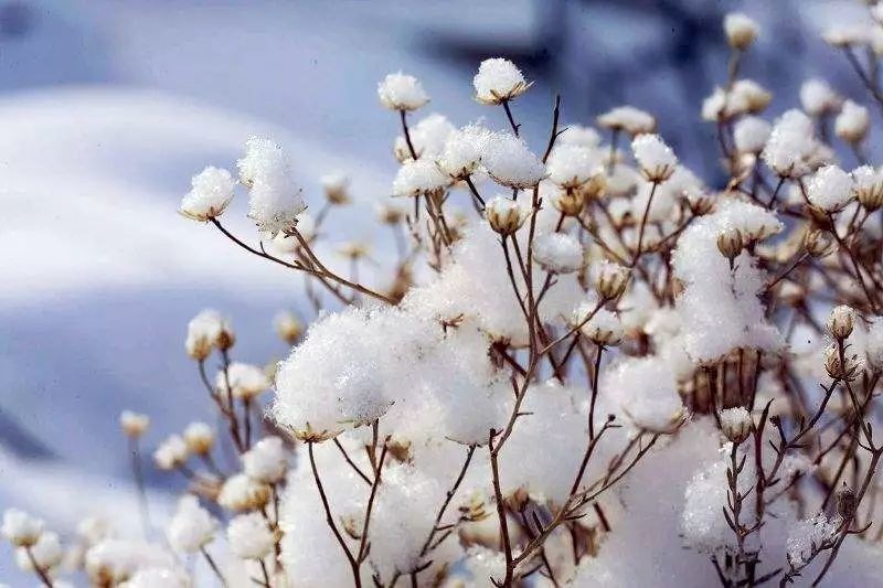 1673233393158388.jpg abe1eea3ca79fc28-c577ebdcb0f3dbcc-984f70b8d75490325e024f1af99c34e0.jpg