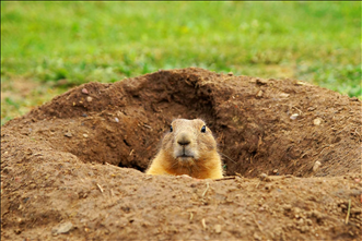 2年属鼠50岁后命运