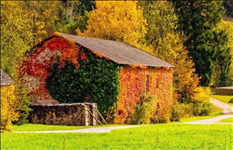 1674654200452999.png image.png