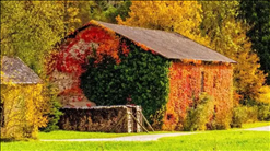 1674094512459102.png image.png