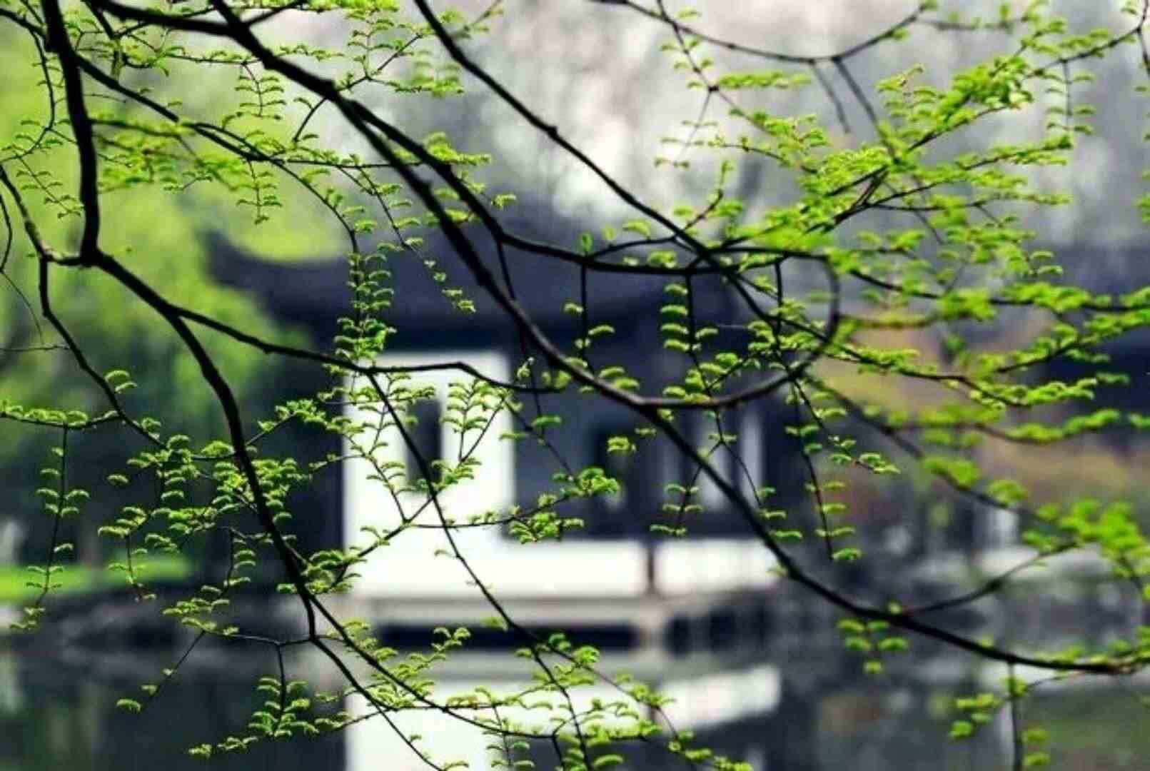 1675145967647581.jpg abe1eea3ca79fc28-c577ebdcb0f3dbcc-49486c3721e7bd1941ae66d44d6efc4f.jpg