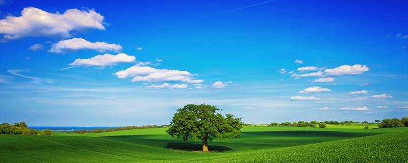 每日五行穿衣2023年2月24日 今日旺运势颜色推荐