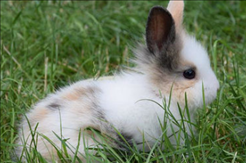 1676605439116925.png image.png