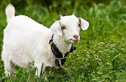 1676861542236068.png image.png