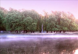 1677546906251137.png image.png