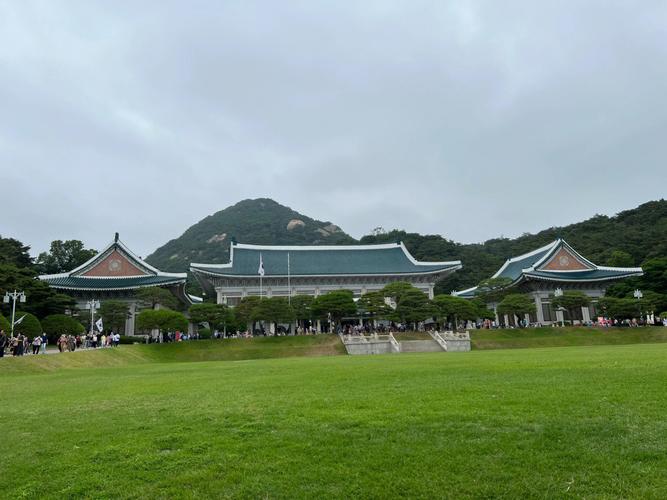 为什么进入青瓦台(青瓦台难道是)