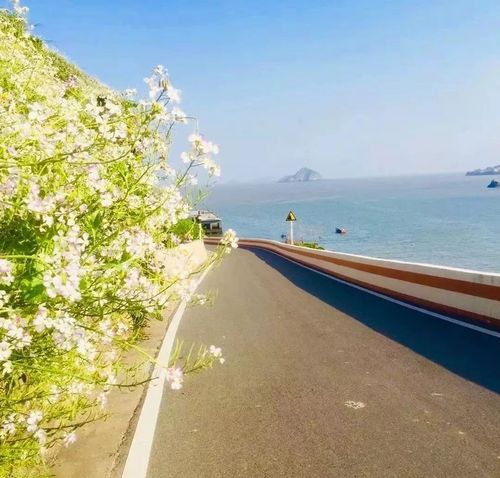 旅游哪里散心 旅游去哪里散心最好
